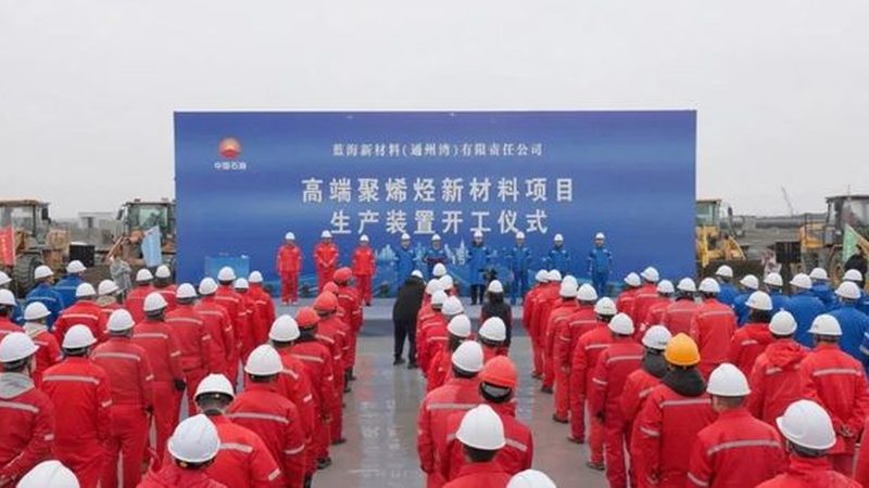 果冻增稠与胶凝：揭秘增稠剂与胶凝剂的选择奥秘**