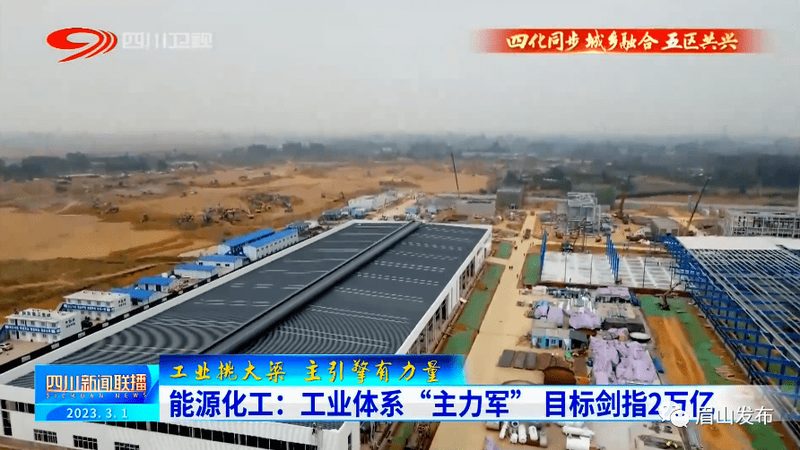 肉类防腐剂，守护食品安全的关键一环**